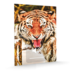Alubild - Tiger-scream