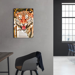 Alubild - Tiger-scream