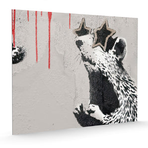 Alubild - Ratte mit Sonnenbrille