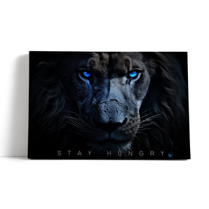 Leinwandbild - Stay Hungry - Cold Lion