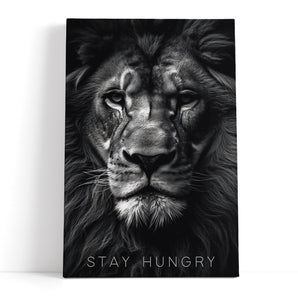 Leinwandbild - Stay Hungry - Proud Lion