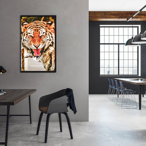 Poster im Rahmen - Tiger-scream