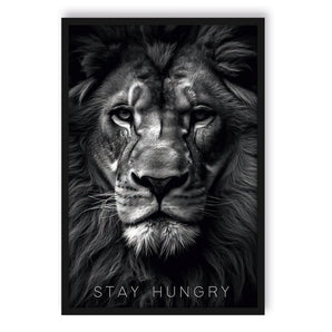 Poster im Rahmen - Stay Hungry - Proud Lion